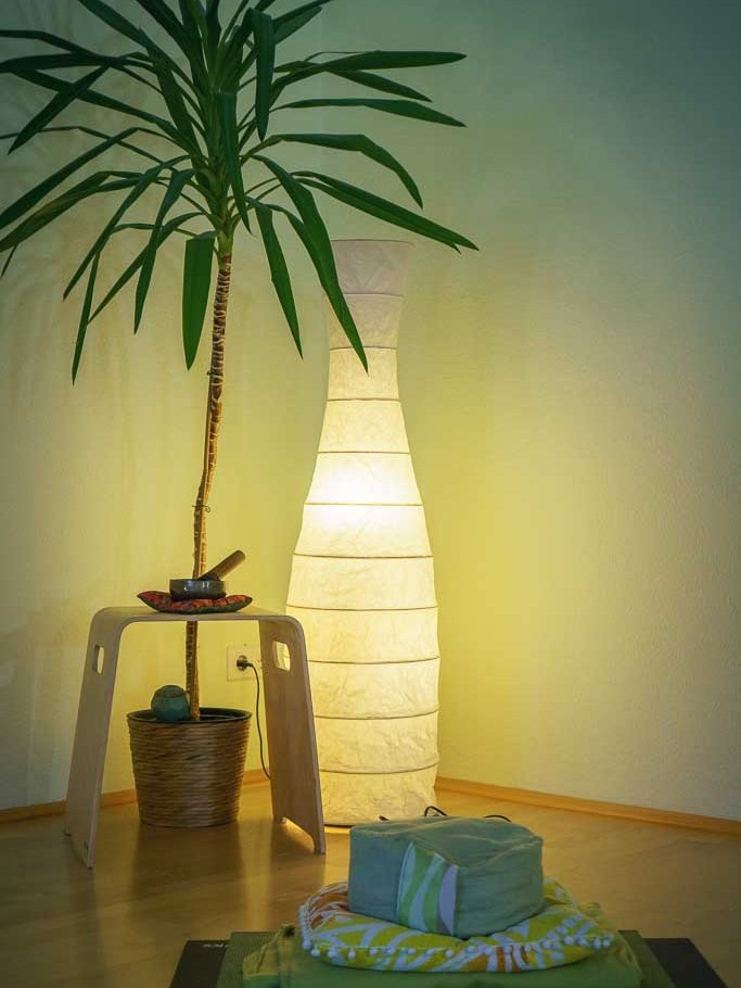 Gemütliche Ecke im Yogaraum mit Pflanze, Meditationskissen und Yogamatte